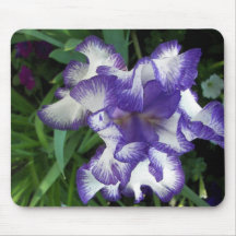 Königliche Iris Mousepad