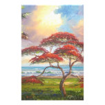 Königliche Poinciana Baum-Malerei Druckpapiere