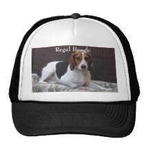 Königlicher Beagle-Jagdhund-Hundehut Kultkappe