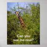 Können Sie meine Giraffe jetzt sehen Plakate