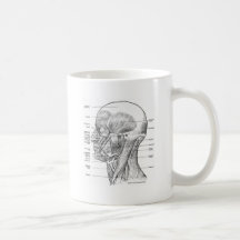 KOPF-UND HALS-ANATOMIE-T-SHIRTS UND GESCHENKE TEE TASSE