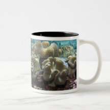 Koralle, Agincourt Riff, Great Barrier Reef, Kaffeehaferl