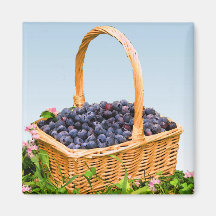 Korb der Blaubeeren Magnete