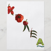 Korea-Chili-Paprikaschoten Flyer