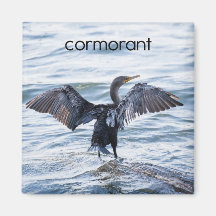 Kormoran-Kühlschrank-Magnet Kühlschrankmagnete