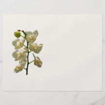 Köstliche weiße Orchideen Bedruckte Flyer