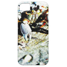 Krabbe Etui Fürs iPhone 5