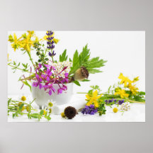 Kräutergarten Posters