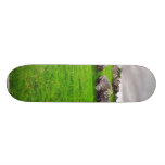 Kreise bei Carrowmore Skateboarddecks