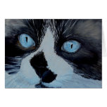 Kricket die Ragdoll Katze Karten
