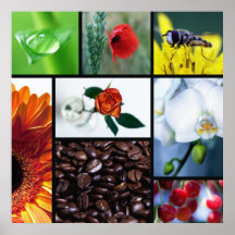 Küchenbild Natur im Herzen Posterdrucke