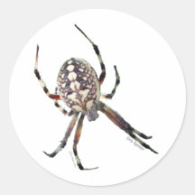 Kugel-Spinne Stickers