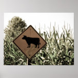 Kuh-Überfahrt Poster