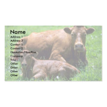 Kuh und Kalb Visitenkarte