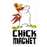Küken-Magnet poster