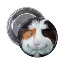 Kuku Buttons