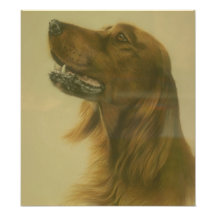 Kundengerechtes Setter-Kunst-Plakat Foto Druck