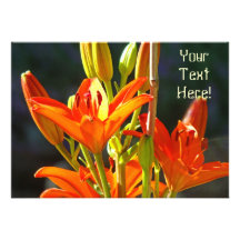 Kundenspezifische Einladungs-orange Lilien-Blumen 