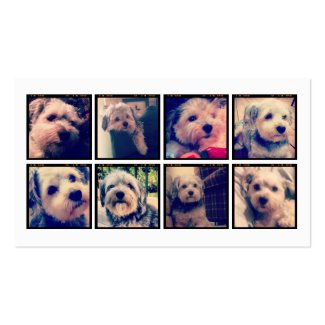Kundenspezifische Foto-Collage mit quadratischen F Visitenkartenvorlagen
