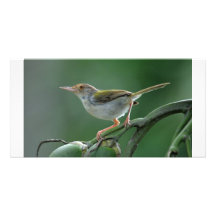 Kundenspezifische Fotokarte