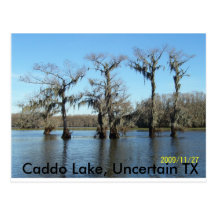 Kundgebung 2009 058, Caddo See, unsicheres TX Postkarten