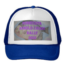 KUNDGEBUNGS-HUT MINNESOTAS ARNOLD CHIARI BASEBALLKAPPE