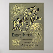 Kunstformen der Natur Abdeckung Posterdruck