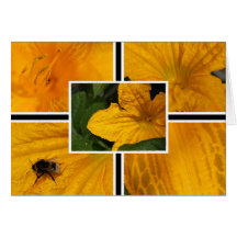 Kürbisblüte mit Hummel Karte