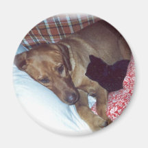LABRADOR-BABYSITTER MAGNETE