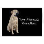 Labrador retriever-Gruß-Karte