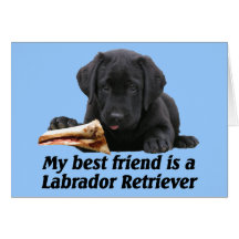 "Labrador retriever " Karten