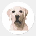 Labrador retriever-Kater Sticker