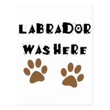 Labrador war hier postkarte