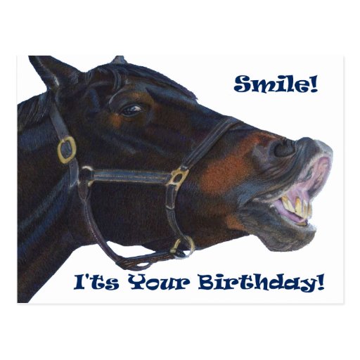 Lächeln! Es ist Ihr Geburtstag! Pferd Postkarte Zazzle