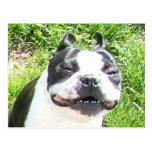 Lächeln Postkarte