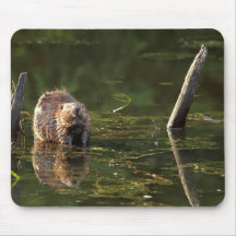 Lächelnder Biber Mousepads