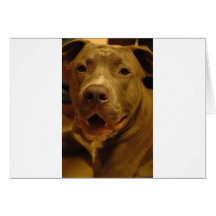 Lächelndes Pitbull Karte