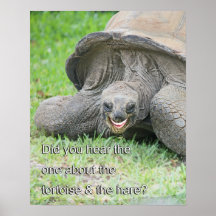 Lächelndes Schildkröten-Plakat