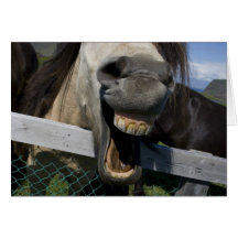 Lachendes Pferd Grußkarte