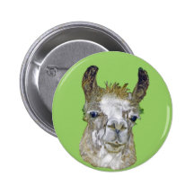 Lama-Bild Anstecknadel