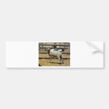 Lamm Auto Sticker