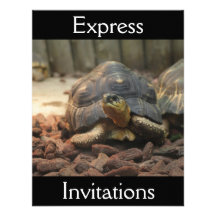 Land-Schildkröte Individuelle Einladungskarte