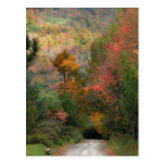 Land-Straße im Herbst Postkarten