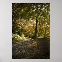 Land-Weg-Druck Posterdrucke