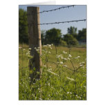 Land-Zaun-Posten und Wildblumen-Gruß-Karte