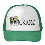 Landkreis Wicklow Trucker Mützen