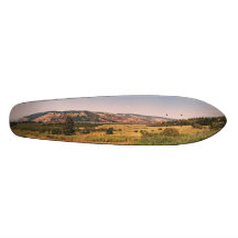 Landschaft Skateboard Bretter