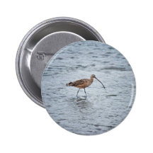 Lang-berechneter großer Brachvogel Anstecknadel