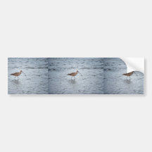 Lang-berechneter großer Brachvogel Autosticker