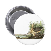 Lang-berechneter großer Brachvogel, John Audubon Anstecknadelbutton